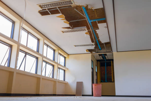 Best 24/7 water damage repair  in Elverson, PA