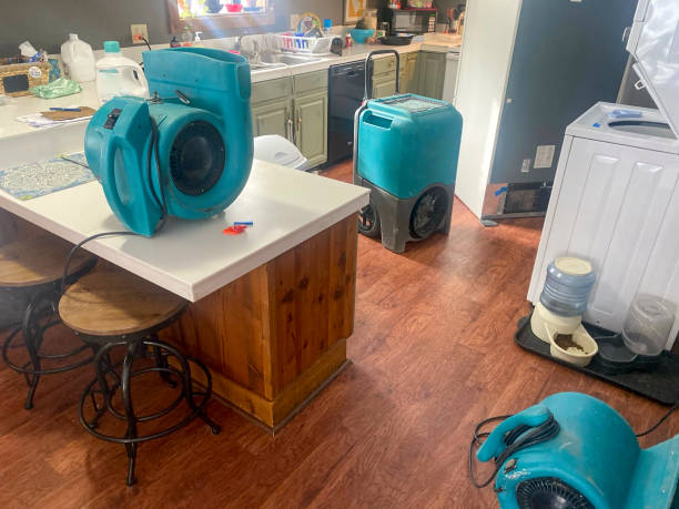 Best Ceiling water damage repair  in Elverson, PA