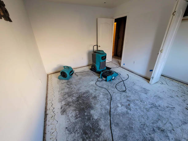 Best Residential water damage restoration  in Elverson, PA