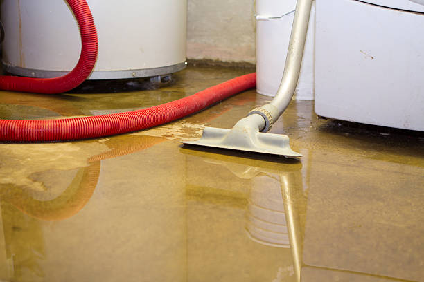 Best Water damage contractors near me  in Elverson, PA