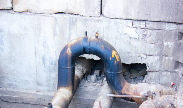 Best Mold removal after water damage  in Elverson, PA